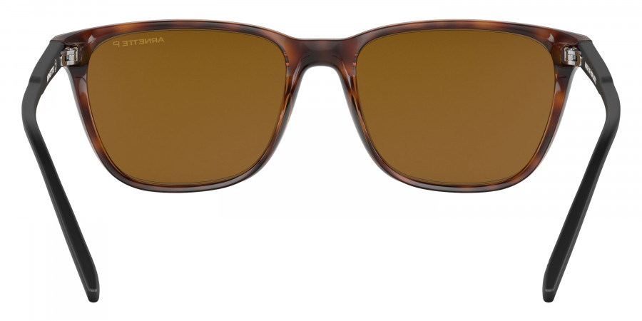 Arnette™ - AN4291 Cortex