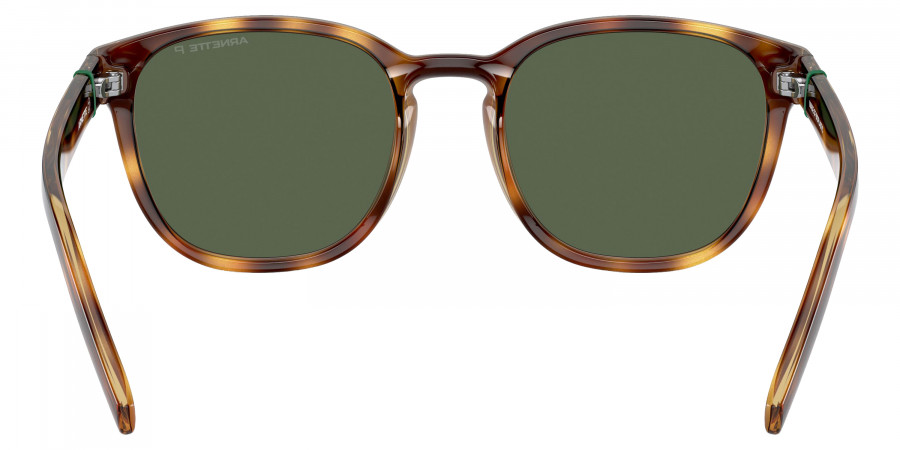 Arnette™ - AN4319 Barranco