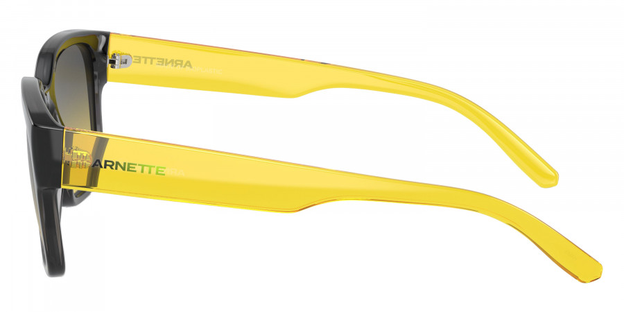 Arnette™ - AN4325 Hamie