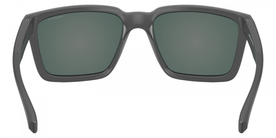 Arnette™ - AN4346 Plot Twist