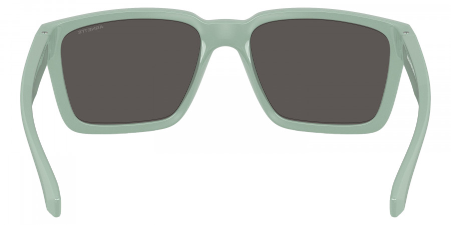 Arnette™ - AN4346 Plot Twist