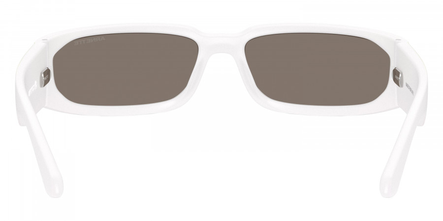 Arnette™ - AN4349 Smaze