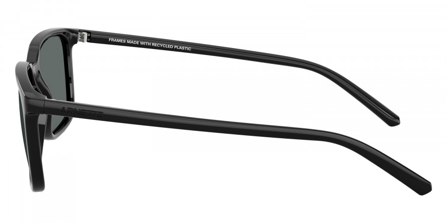 ARNETTE™ - AN4364 Dinsky