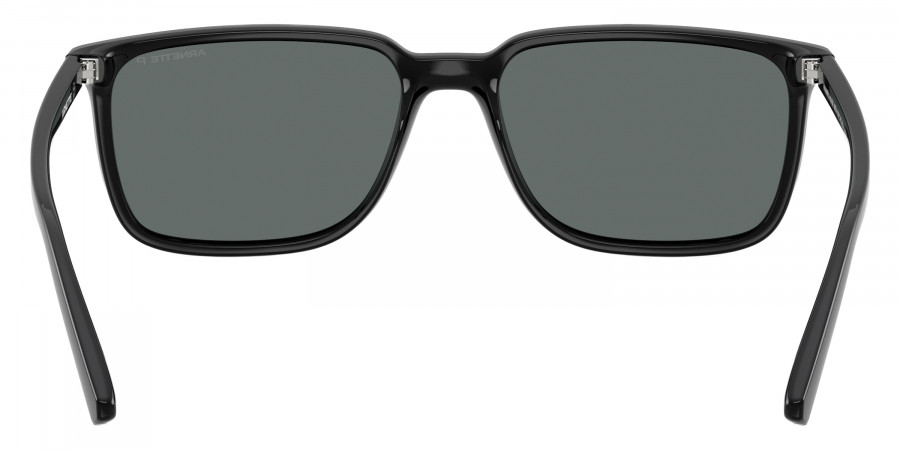 ARNETTE™ - AN4364 Dinsky