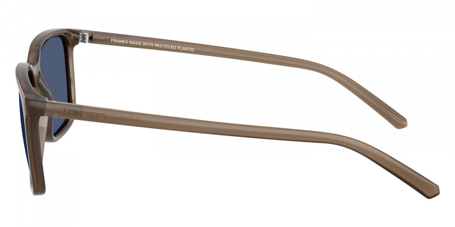 ARNETTE™ - AN4364 Dinsky