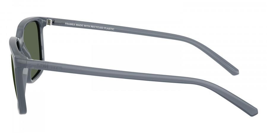 ARNETTE™ - AN4364 Dinsky