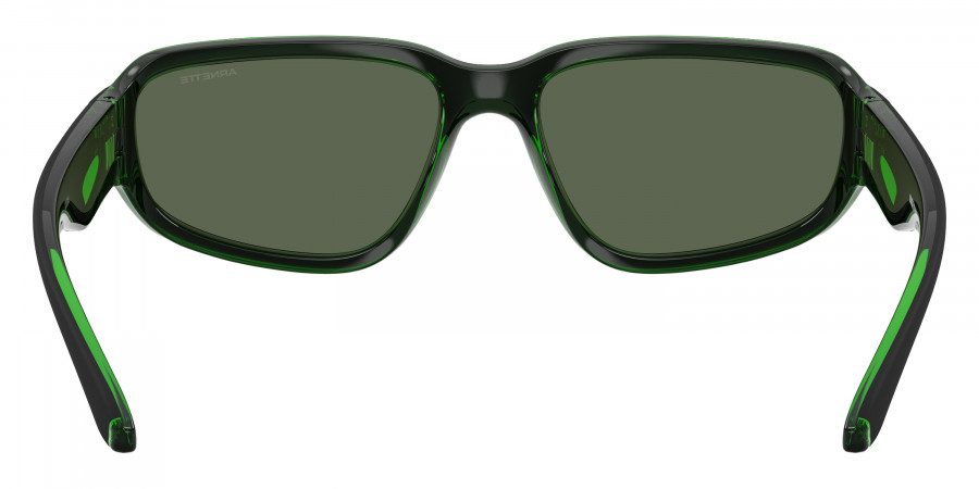 ARNETTE™ - AN4365 Goodle