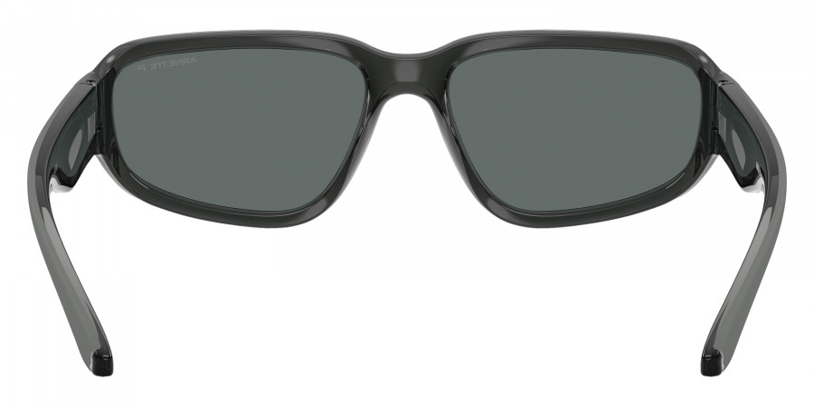 ARNETTE™ - AN4365 Goodle