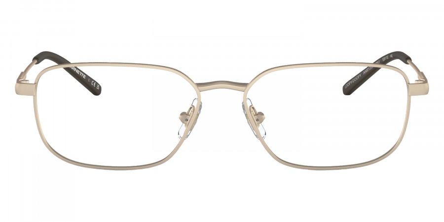 Arnette™ - AN6133 Loopy-Doopy