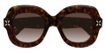 Havana / Brown Gradient
