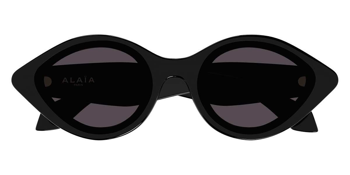 Azzedine Alaïa™ AA0069S Cat-Eye Sunglasses | EyeOns.com