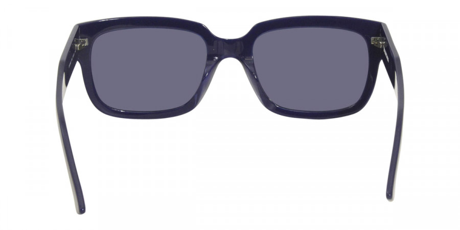 Balenciaga™ - BB0049S