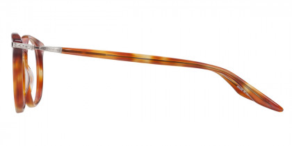 Barton Perreira™ Capote 48 - Havana / Pewter