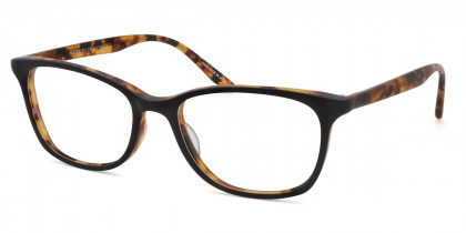 Barton Perreira™ Cassady 50 - Matte Black Amber Tortoise