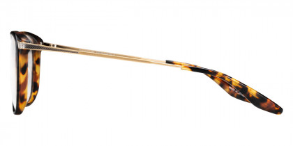 Barton Perreira™ Elrod 54 - Matte Black Amber Tortoise / Antique Gold