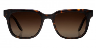 Barton Perreira™ Chisa 52 - Dark Walnut / Old English Polarized