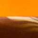 Horn Havana/Gold / Julep AR