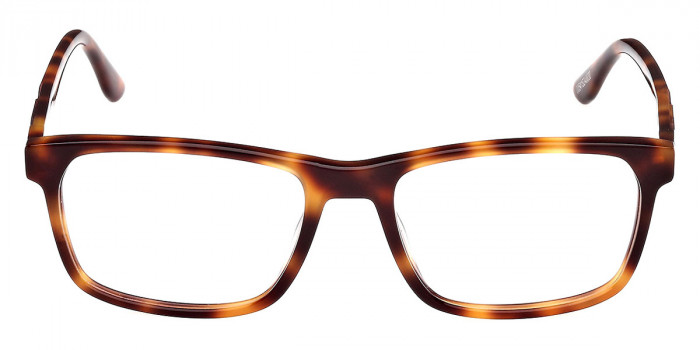 BMW™ BW5083-H 052 53 - Havana/Havana