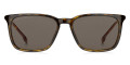 Havana / Brown