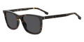 Havana / Bronze Polarized