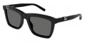 Black / Gray