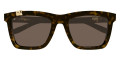 Havana / Brown