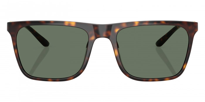 Brooks Brothers™ BB5055U 61613H 56 - Dark Tortoise/Matte Gold