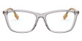 Transparent Gray