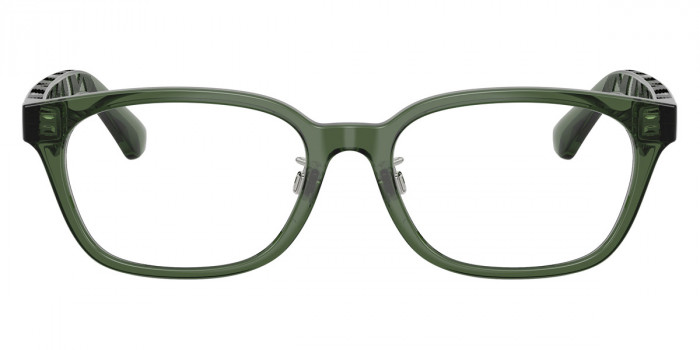 BURBERRY™ BE2436D 4174 53 - Green