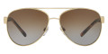 Brushed Brown / Polarized Brown Gradient 1145T5
