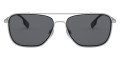 Silver / Gray
