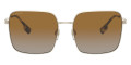 Light Gold / Polarized Brown Gradient
