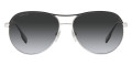 Silver / Polar Gray Gradient