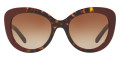 Top Bordeaux on Dark Havana / Brown Gradient