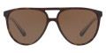 Dark Havana / Brown