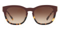 Top Gradient Red on Tortoise / Brown Gradient