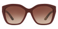 Bordeaux / Brown Gradient