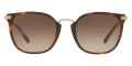 Light Havana / Brown Gradient