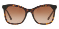 Dark Havana / Black / Brown Gradient