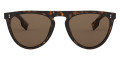 Dark Havana / Brown