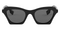 Black / Gray