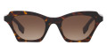 Dark Havana / Brown Gradient