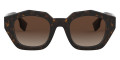 Dark Havana / Brown Gradient