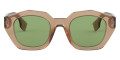 Transparent Brown / Dark Green