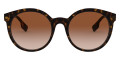 Dark Havana / Brown Gradient