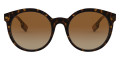 Havana / Polarized Brown Gradient