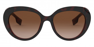 Color: Top Havana On Bordeaux (390513) - Burberry BE4298F39051354