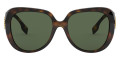 Dark Havana / Green