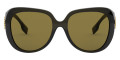 Olive Green / Brown