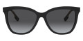 Black / Polarized Gray Gradient